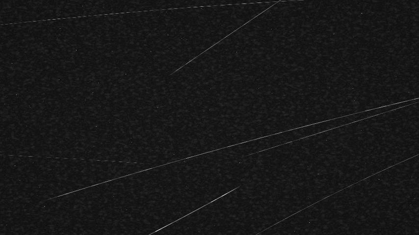 Grain effect seed 40846