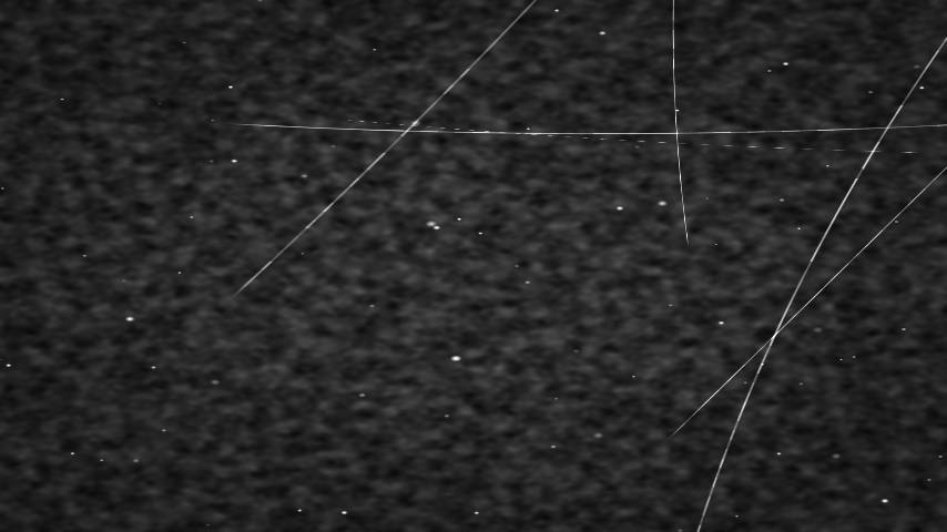 Grain effect seed 62727
